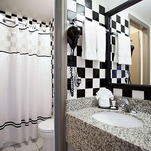 Premium Suite